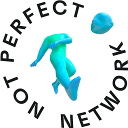 Not Perfect logo